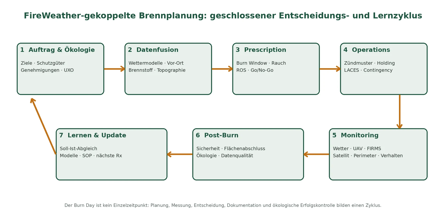 Entscheidungs- und Lernzyklus der feuerwettergekoppelten Brennplanung